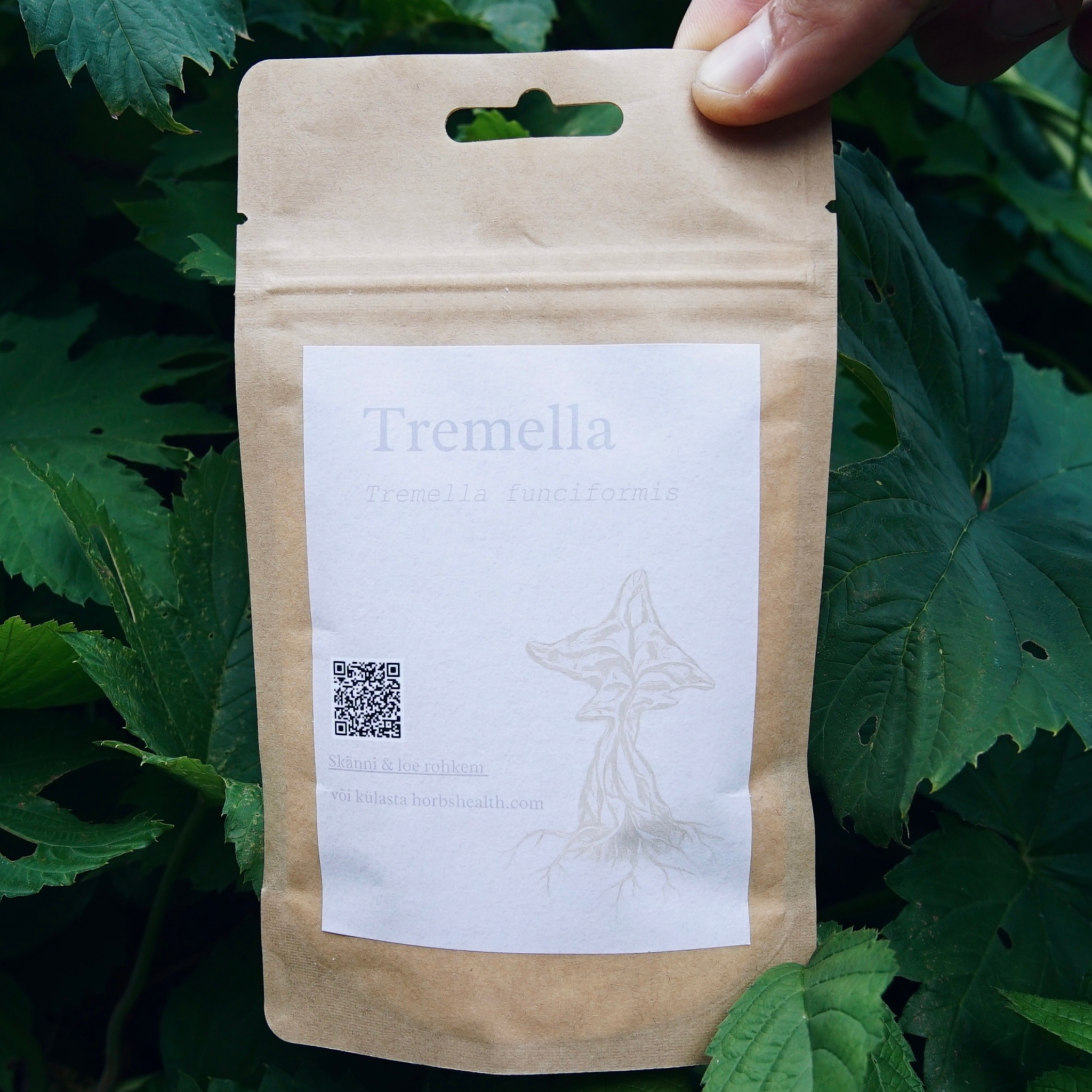 Tremella Ekstrakt